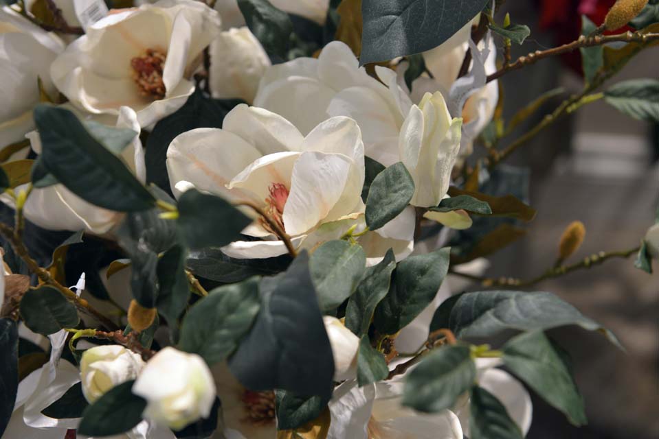 La Maison de Julie Piazza Sandro Pertini 11,  Paullo MI